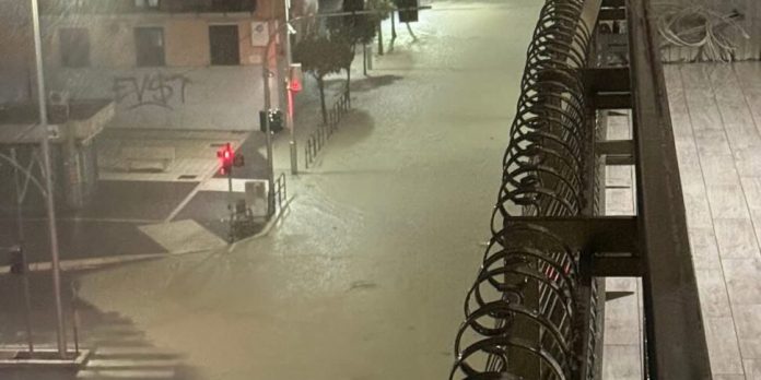 WhatsApp-Image-2025-12-04-at-08.04.04-970x485