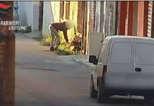 Blitz a Cirò Marina, 13 arresti per droga con l’aggravante del metodo mafioso