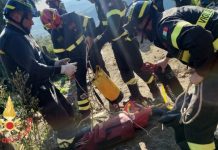 Catanzaro, camion precipita in una scarpata: conducente trasferito d’urgenza in ospedale