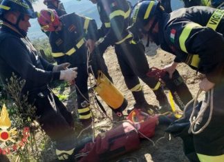 Catanzaro, camion precipita in una scarpata: conducente trasferito d’urgenza in ospedale